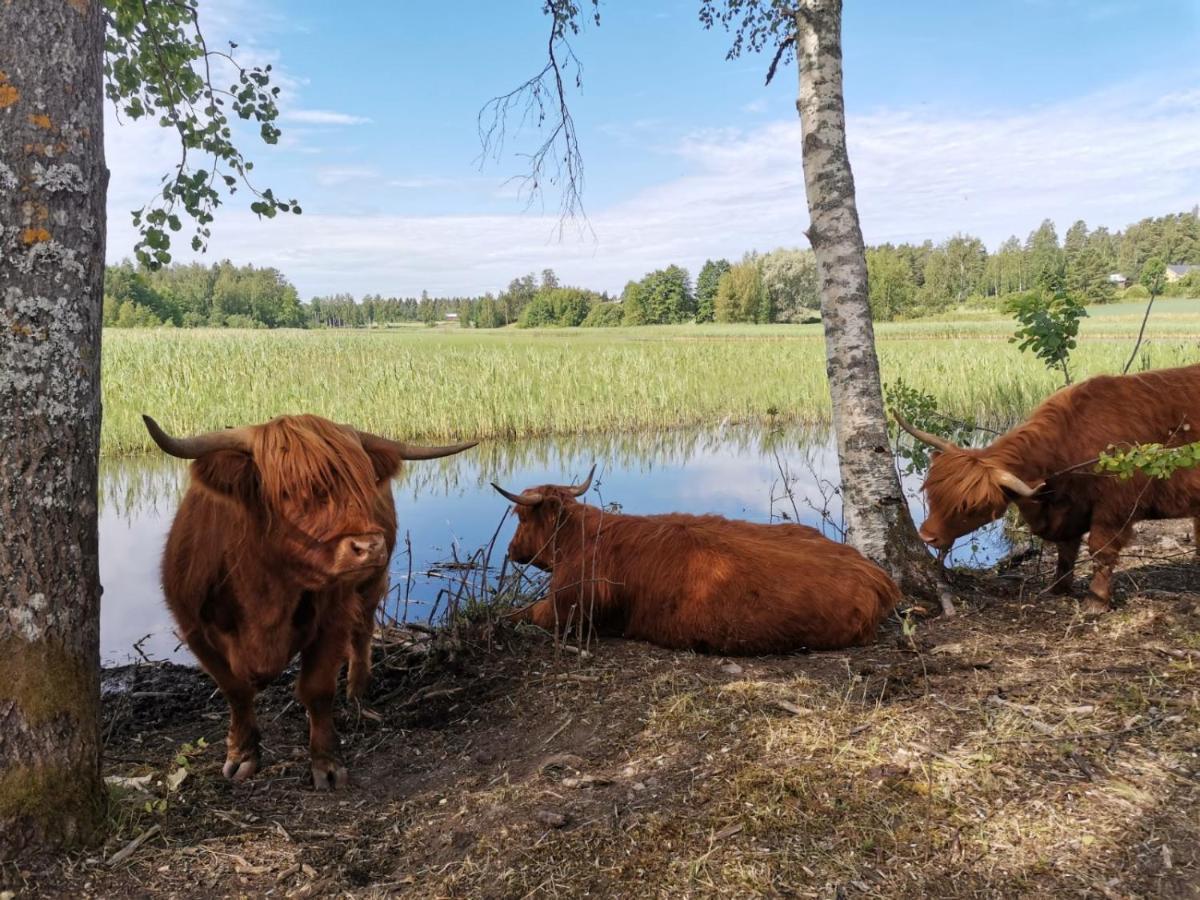 Isotalo Farm at enäjärvi lake Salo  Exteriör bild