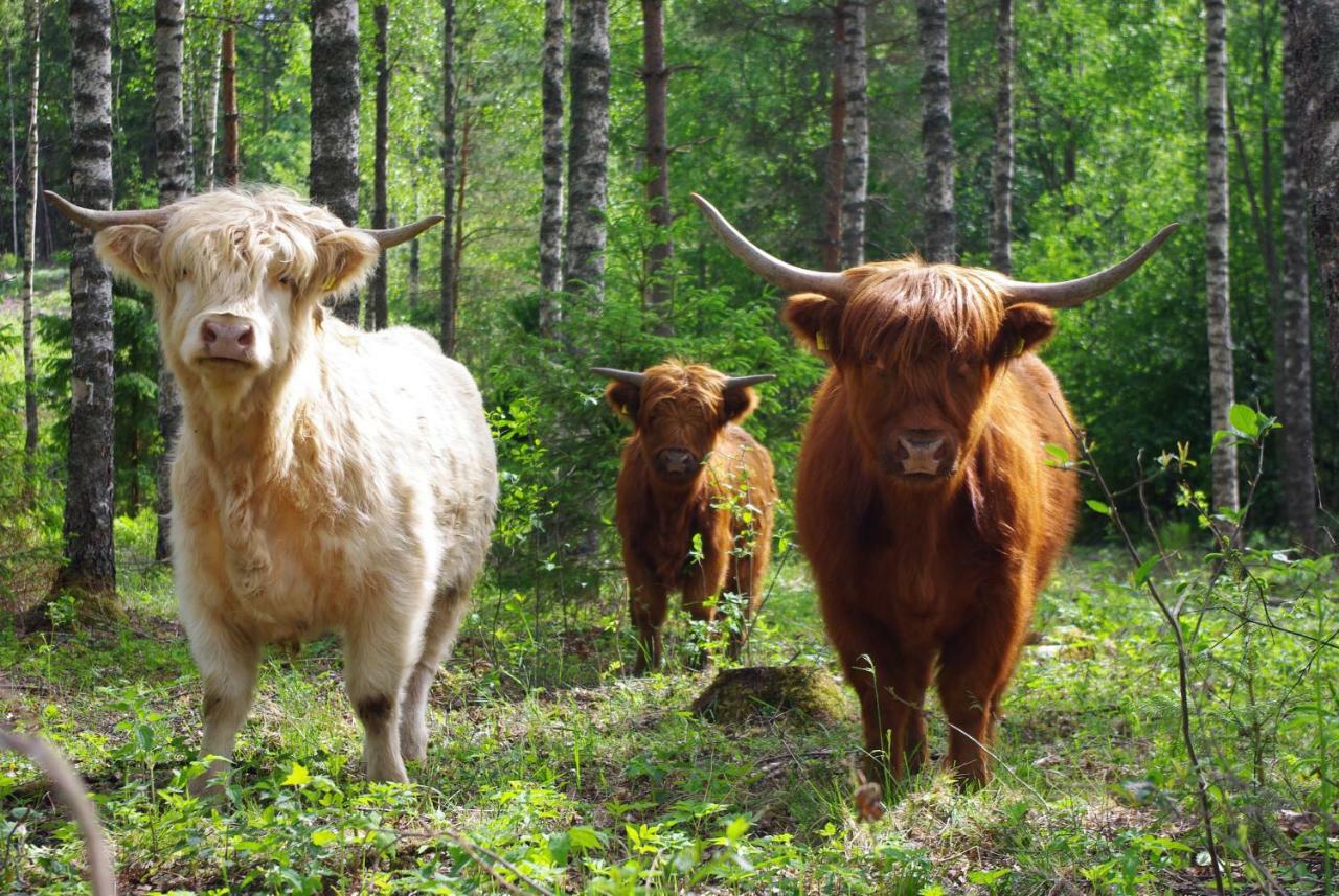Isotalo Farm at enäjärvi lake Salo  Exteriör bild