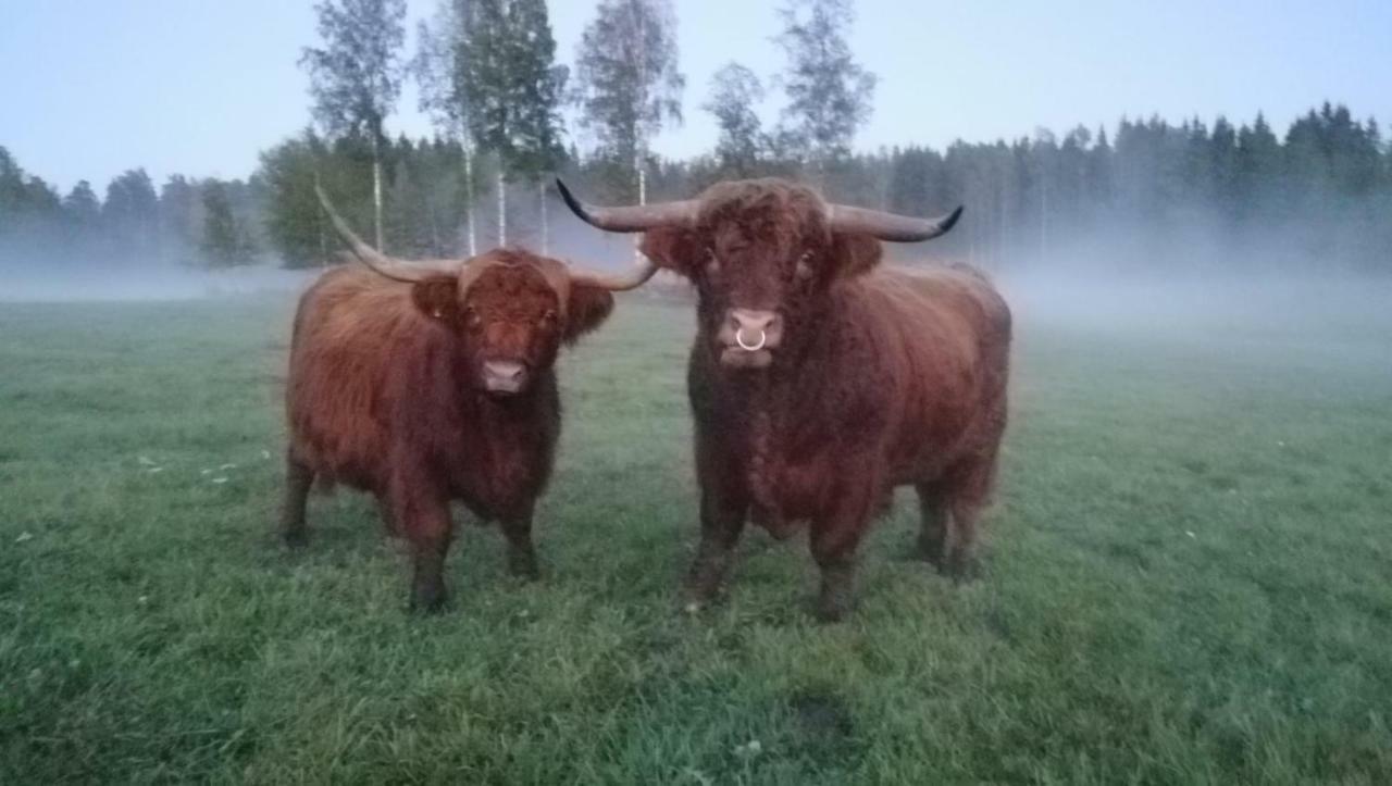 Isotalo Farm at enäjärvi lake Salo  Exteriör bild